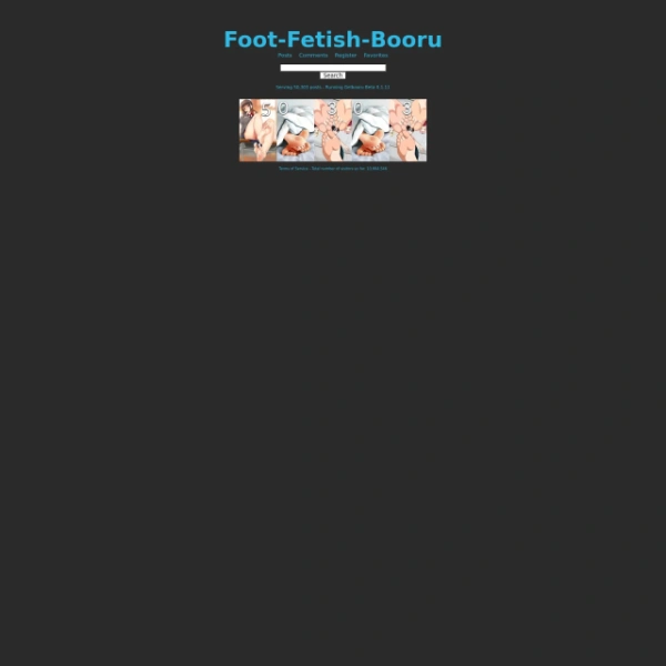 FootFetishBooru on thepornlogs.com