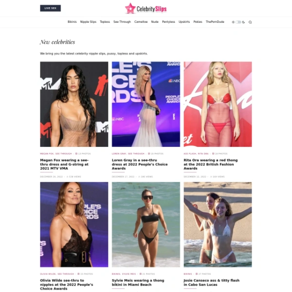 Celebrity Slips on thepornlogs.com
