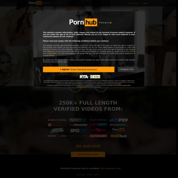 PornHub VR on thepornlogs.com