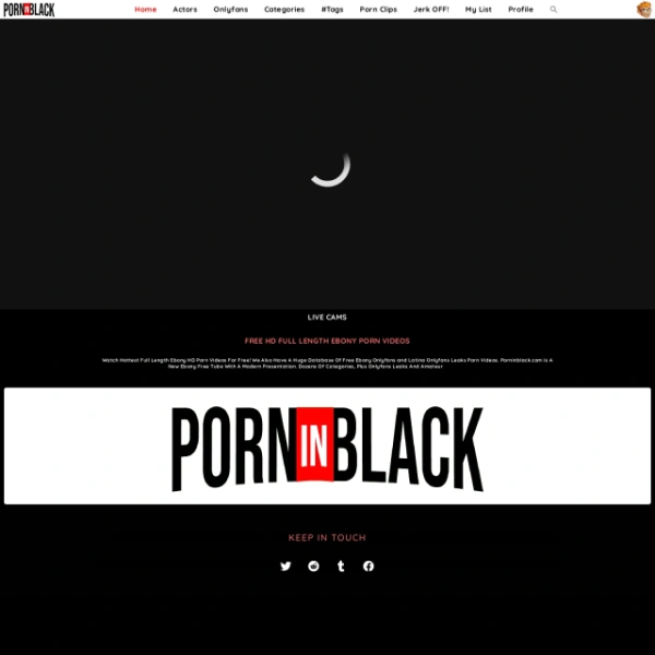 PornInBlack on thepornlogs.com