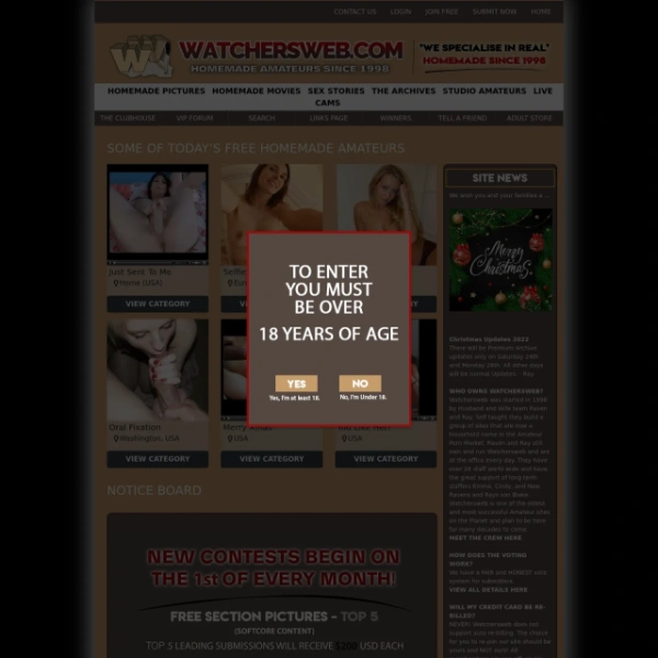 WatchersWeb on thepornlogs.com