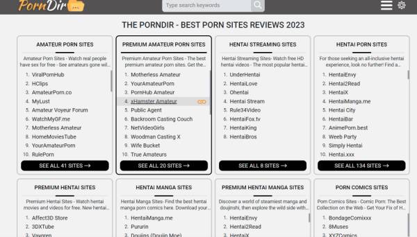PornDir on thepornlogs.com